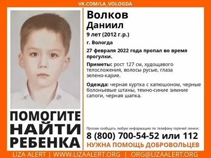 Второй день в Вологде ищут пропавшего 9-летнего мальчика