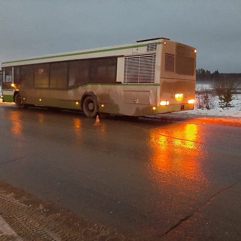 Под Тотьмой автобус насмерть сбил ребенка