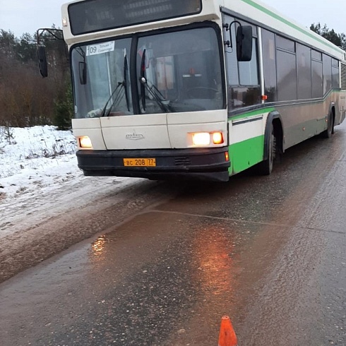Под Тотьмой автобус насмерть сбил ребенка