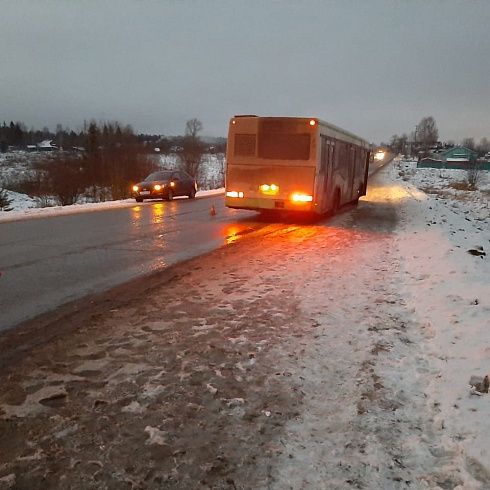 Под Тотьмой автобус насмерть сбил ребенка